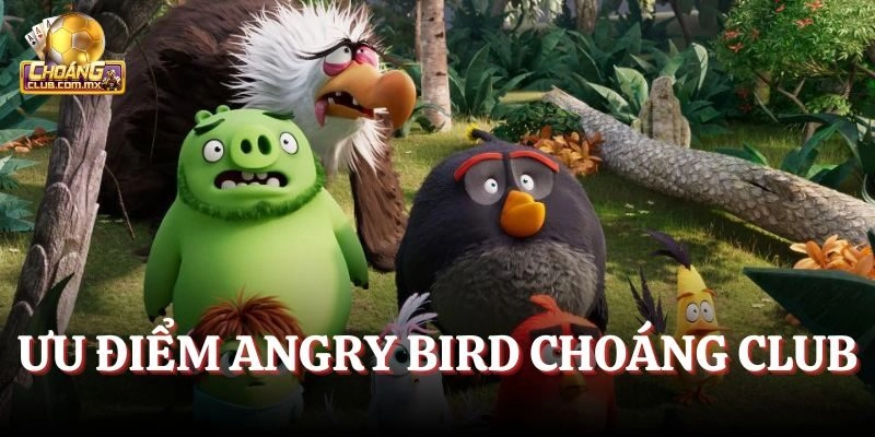 Ưu điểm Angry bird Choáng Club